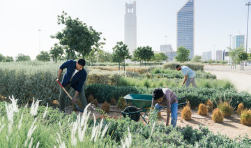 2030 Expo bid puts the making of a green Riyadh in the limelight