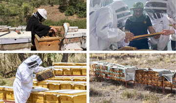 How Saudi Arabia is creating a buzz around beekeeping and the honey making industry